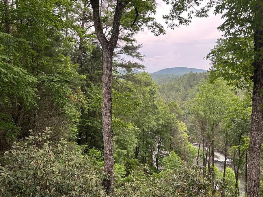 بلو ريدج Treehouse Cabin With Mountain, River Views And Arcades المظهر الخارجي الصورة